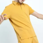 Men Solid Casual Polo Tshirt