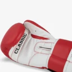 Classic Training boxing gloves