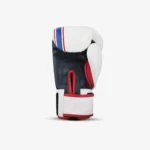 Leather Boxing Gloves