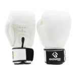 Muay Thai Boxing Gloves Suppliers