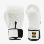 Muay Thai Boxing Gloves